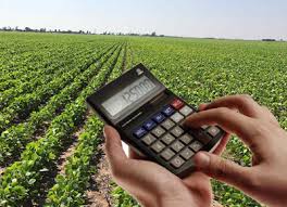 Calcule o preço de soja - Real Agro | Assessoria Agropecuária
