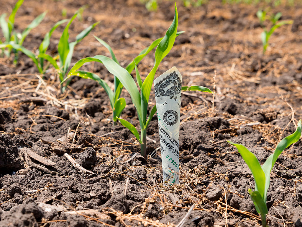 Crédito rural em dólar